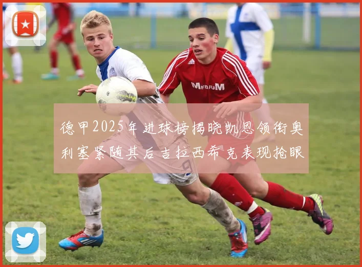 德甲2025年进球榜揭晓凯恩领衔奥利塞紧随其后吉拉西希克表现抢眼