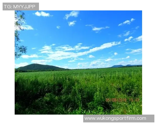 湖凯经典对决再现激情布朗感叹篮球氛围无与伦比